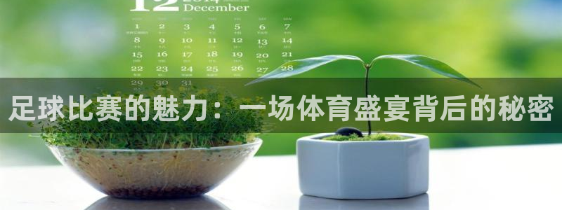 vsport体育平台app下载安装免费：足球比赛的魅力：一场