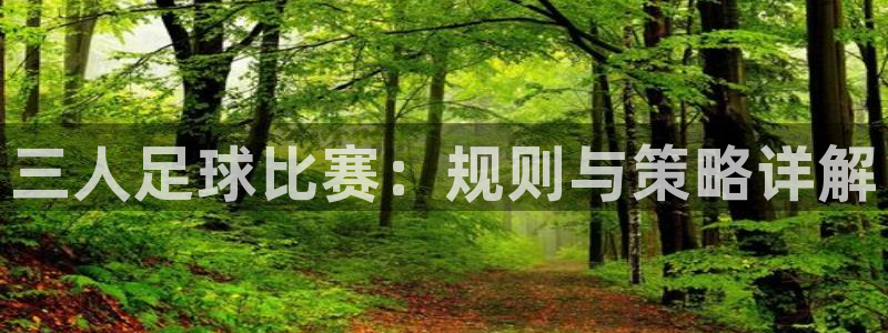 vSport体育在线登录平台：三人足球比赛：规则与策略详解