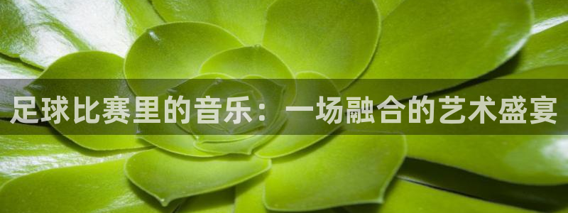 Vsport体育官方网站入口：足球比赛里的音乐：一场融合的艺