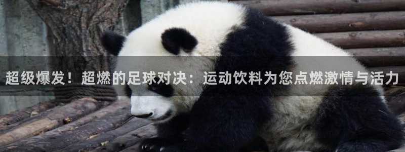  哈哈体育体育官网入口：超级爆发！超燃的足球对决：运动饮料为您