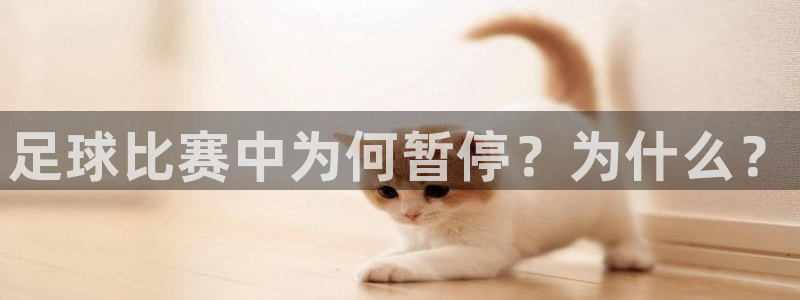  vsport体育在线官网阿根廷：足球比赛中为何暂停？为什么？