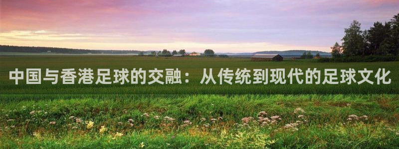  哈哈体育体育官网入口：中国与香港足球的交融：从传统到现代的足
