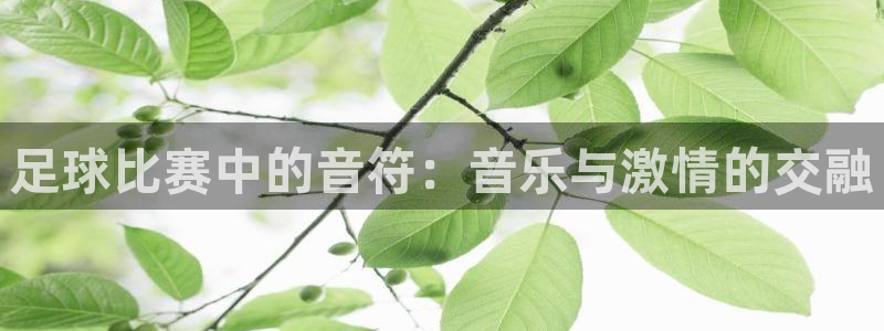 哈哈体育体育官网入口：足球比赛中的音符：音乐与激情的交融