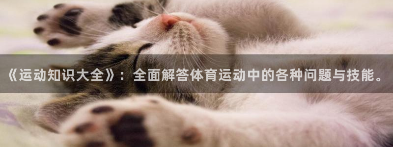 ug环球官网